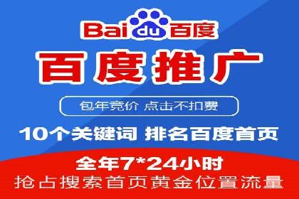 百度竞价广告的投放策略与成功案例分析